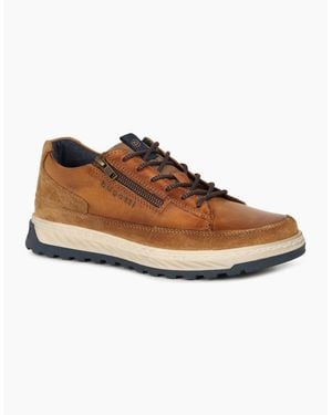 Bugatti Craster Shoes - Brown