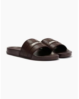 Original Penguin Penguin Paradise Chocolate Slides - Brown