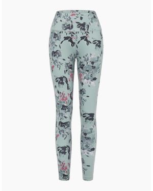 Regatta Ladies Influential Ii Floral Leggings - Blue
