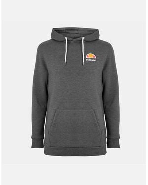 Ellesse Logo Hooded Neck Raglan Sleeve Sweatshirt - Grey