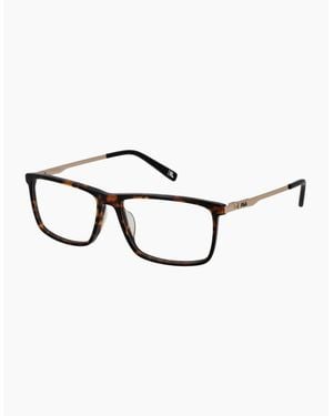 Fila Optical Frame Vfi296 0722 57 - Brown