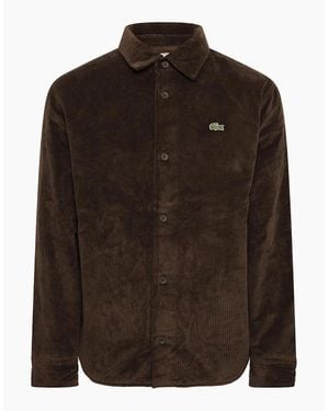 Lacoste Long Sleeve Oxford Shirt - Brown