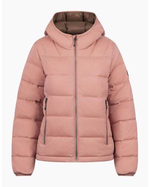 Trespass Ladies Rollins Hooded Jacket - Pink
