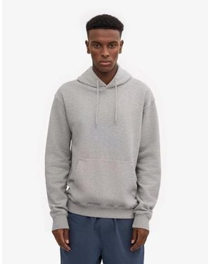 COLORFUL STANDARD Classic Organic Hoodie - Grey