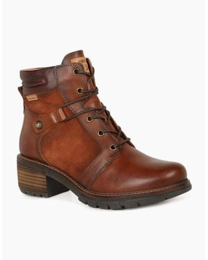 Pikolinos Sadie Ankle Boots - Brown