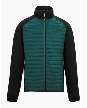 Regatta Clumber Hybrid Jacket - Green