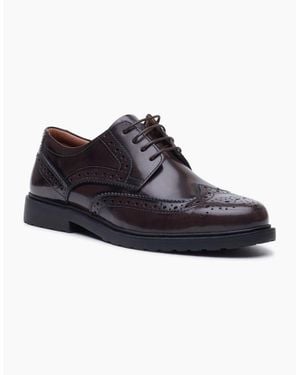 Hush Puppies Verity Hi-Shine Leather Chocolate Brogues Shoes - Black
