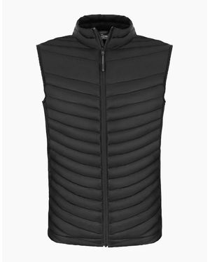 Craghoppers Adult Expert Expolite Thermal Body Warmer - Black