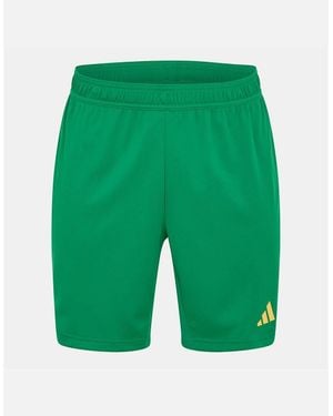adidas T24 Goal Keeper Bermuda Shorts - Green