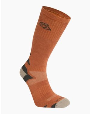 Craghoppers Adult Adventure Insect Repellent Boot Socks - Brown