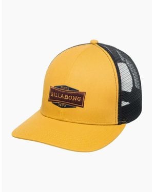 Billabong Walled Trucker Cap - Multicolour