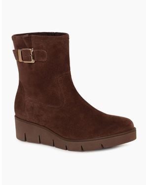 Gabor Entrust Ankle Boots - Brown