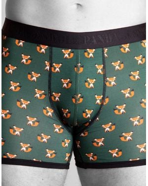 Swole Panda Foxes Bamboo Boxer Brief - Green