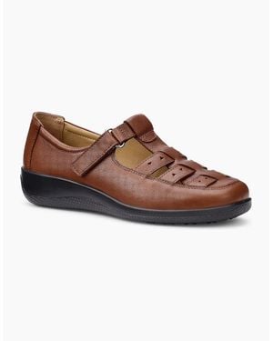 Hotter Teagan Shoes - Brown