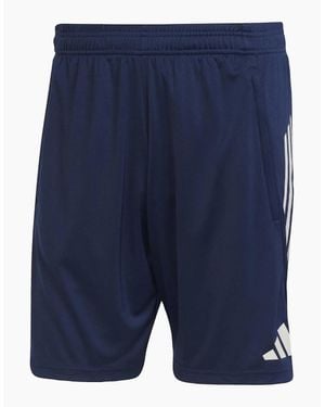 adidas Training Shorts 2025 2026 - Blue