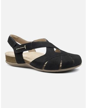 Hotter Catskill Ii Sandals - Black
