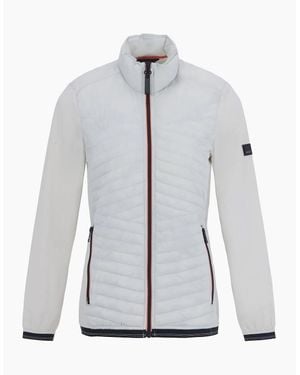 Regatta Ladies Olina Insulated Jacket - Grey
