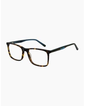 Pepe Jeans Optical Frame Pj3441 C5 53 - Brown