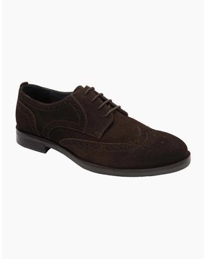 Frank Wright Sherwin Brogues - Black