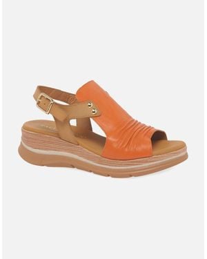 Paula Urban Riviera Ii Sandals - Brown