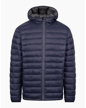 Trespass Paddley Padded Jacket - Blue