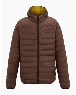 Regatta Marizion Baffled Hooded Padded Jacket - Brown