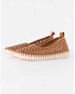 Ilse Jacobsen Tulip Ballerina Shoe - Brown