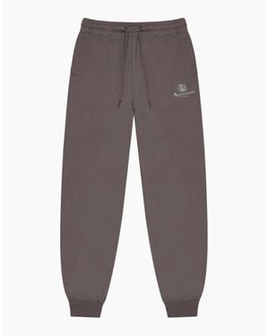 Aquascutum Active Basic Rib Moonrock Trackpant - Brown