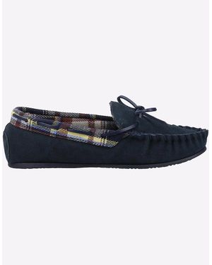 Cotswold Chatsworth Suede Leather - Blue