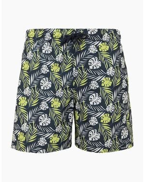Regatta Loras Leaf Swim Shorts - Green