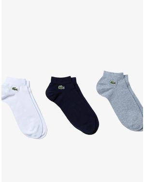 Lacoste Pack Of 3 Pairs Of Low Sport Trainer Socks - Blue