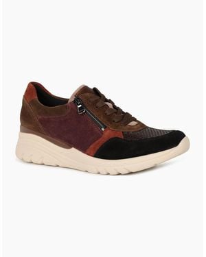 Waldläufer Carla Trainers - Brown