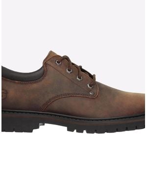 Skechers Tom Cats Oxford Shoes Dark - Brown