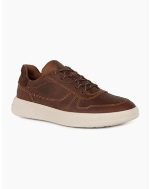 Ecco Move M Trainers - Brown