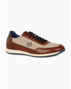 Bugatti Troupe Trainers - Brown