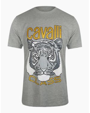 Roberto Cavalli Cavalli Class Bold Tiger Graphic Melange T-Shirt - Grey