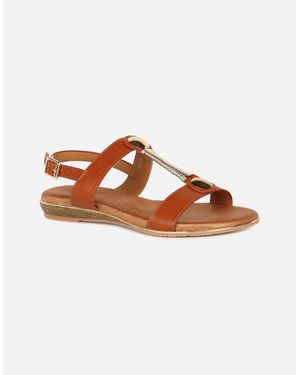 Lunar Renoir Sandals - Brown