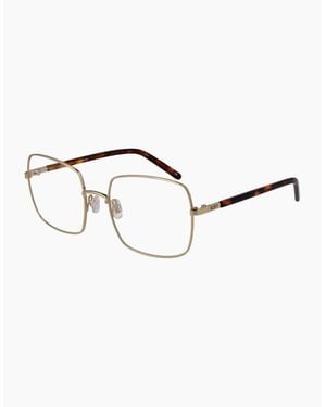 Roxy Optical Frame Erjeg03081 Ator Auri - Metallic