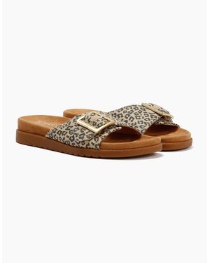 TOMS Marin Slide Leopard Sandals - Brown