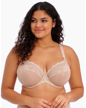 Elomi 4382 Charley Stretch Plunge Bra - Green