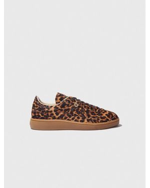 Maje Leather Trainers - Brown