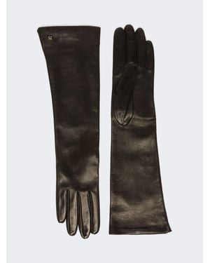 Max Mara Guanti Lunghi - Nero