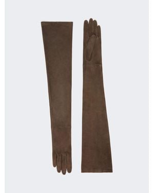 Max Mara Lange Handschuhe Aus Wildleder - Braun