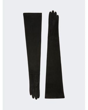 Max Mara Guanti Lunghi - Nero