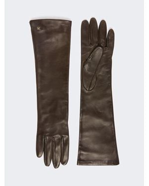 Max Mara Guanti Lunghi - Marrone