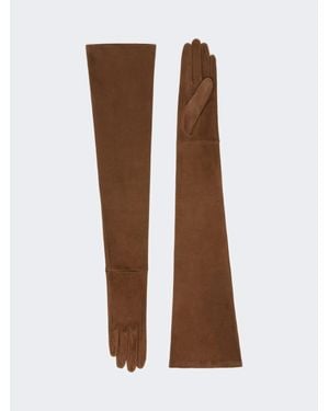 Max Mara Lange Handschuhe Aus Wildleder - Braun