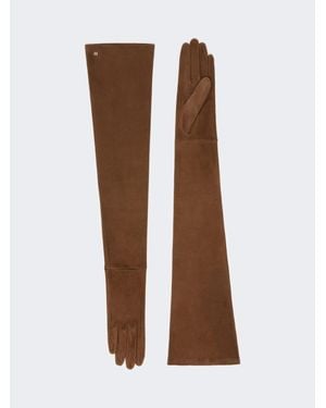 Max Mara Gants Longs En Cuir Suédé - Marron