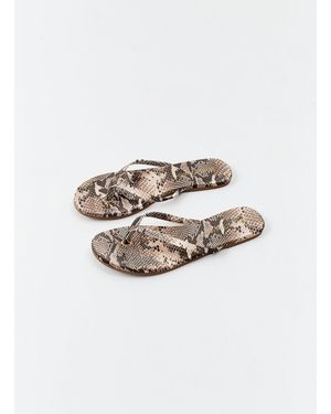 Melissa Odabash Sandals Snake - White