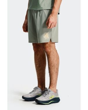 MONTIREX Frequency Short - Green