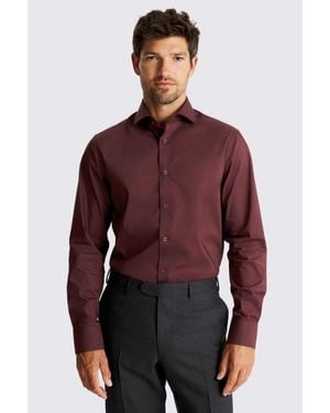 Moss Tailored Fit Wine Stretch Shirt
